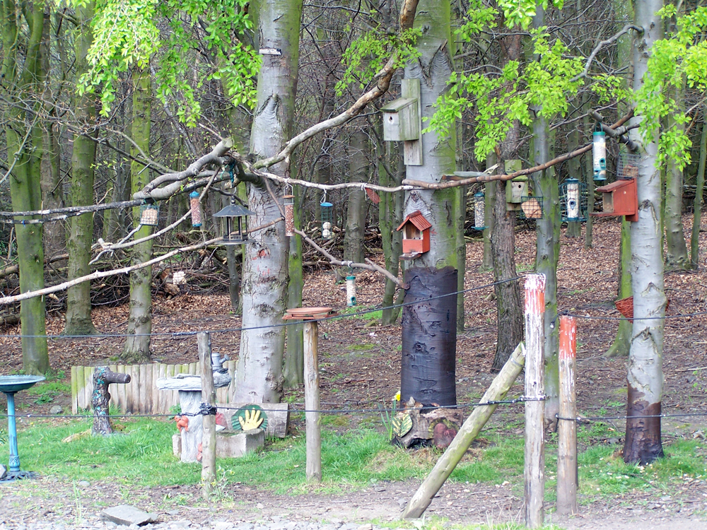 Mining Museum Ashington (6)