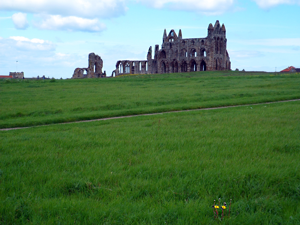 Whitby Abby (2)
