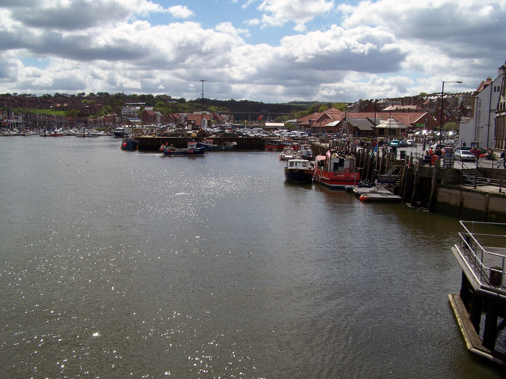 Whitby Harbour (5)